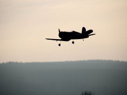 fliegen0803 33